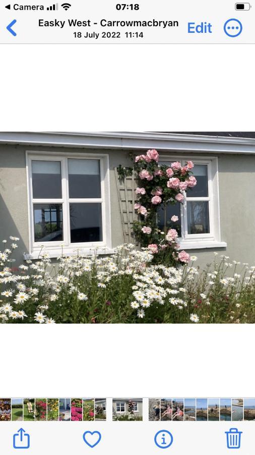 Wild Atlantic View Bed and Breakfast Sligo Buitenkant foto